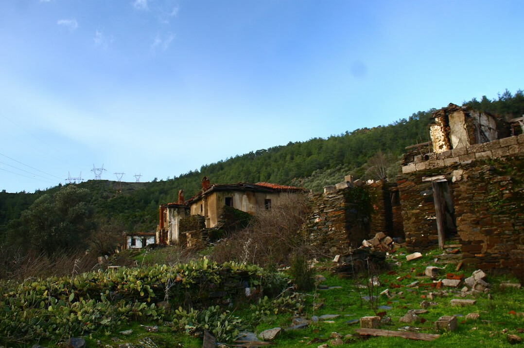 overgrown path in abandoned village