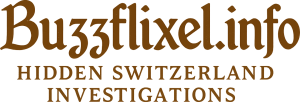 buzzflixel.info