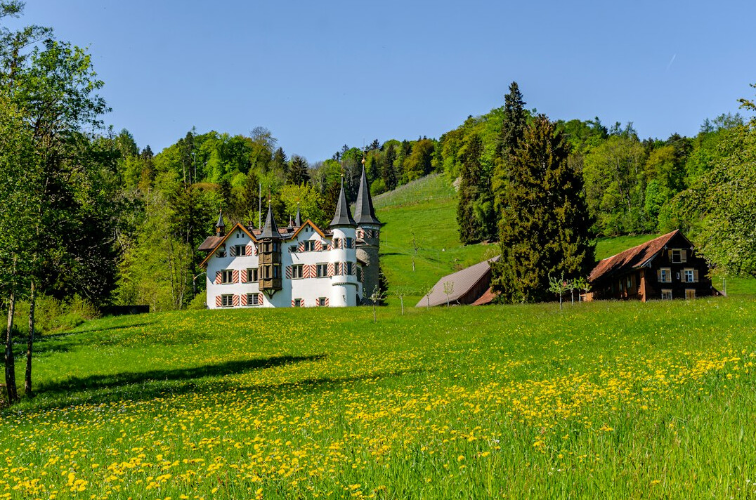swiss castle landscape