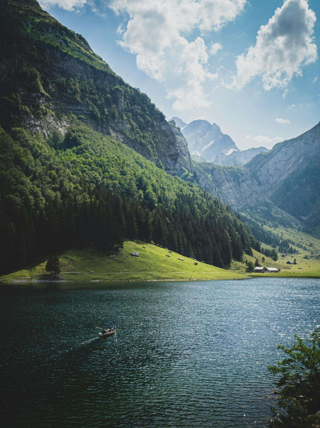 swiss lakes investigation