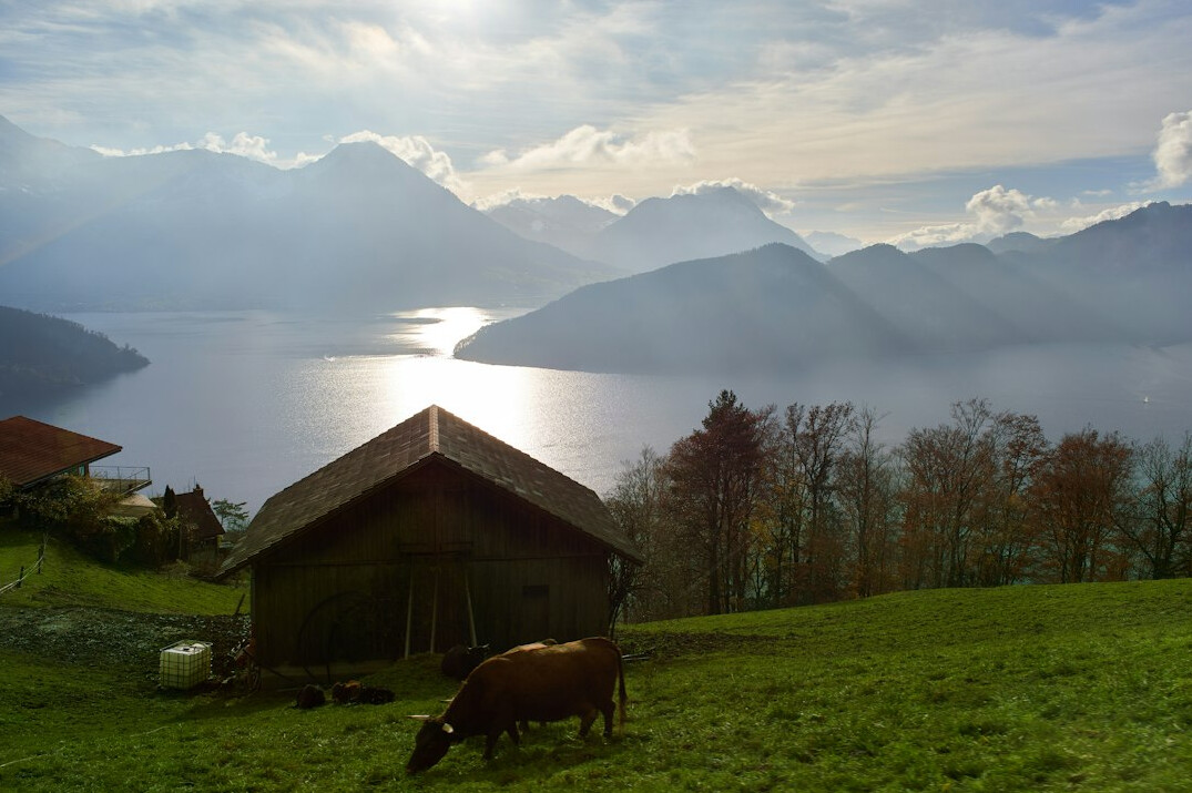 swiss lake misty morning